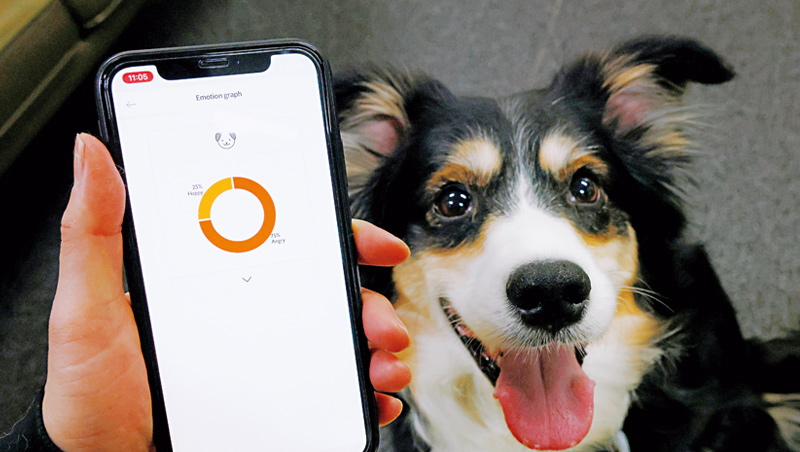 韓國新創公司開發「人工智慧項圈」，透過1萬個狗吠聲樣本，讀懂狗狗5種情緒，此外還能追蹤狗狗的行動，計算牠消耗的卡路里。